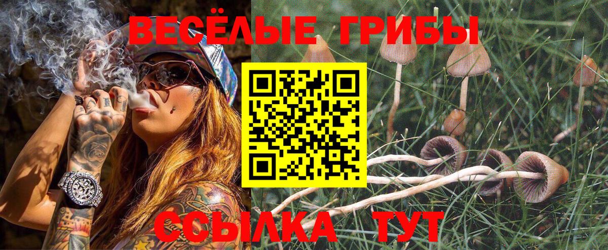 Псилоцибиновые грибы Psilocybine cubensis  Вход с VPN  Туймазы 